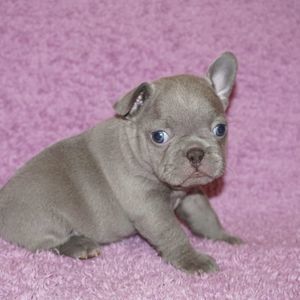 Meet your Posher, Karen